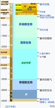 image-20200320025640252