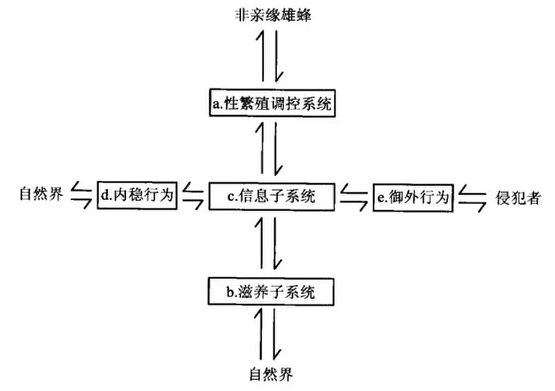 image-20200316233236392
